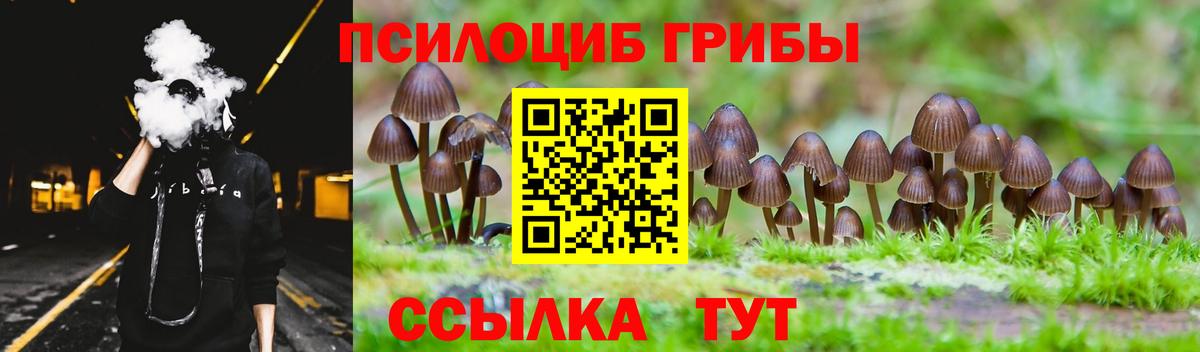 Надым  Галлюциногенные грибы Cubensis  Галлюциногенные грибы GOLDEN TEACHER  Вход с VPN 